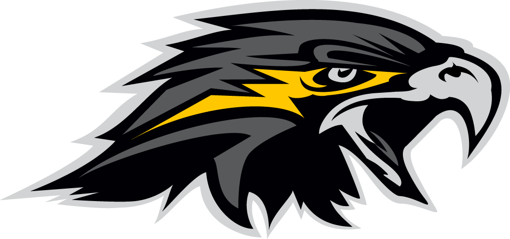 Wichita Falls Nighthawks 2015-Pres Secondary Logo v2 t shirt iron on transfers